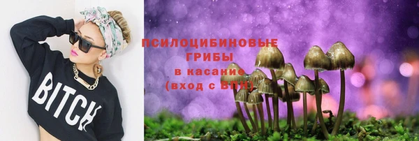 прущая мука Касимов