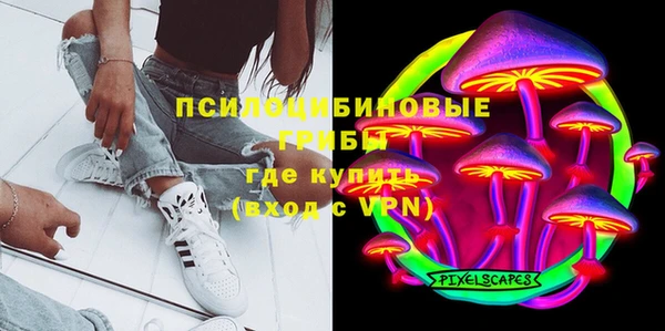 прущая мука Касимов